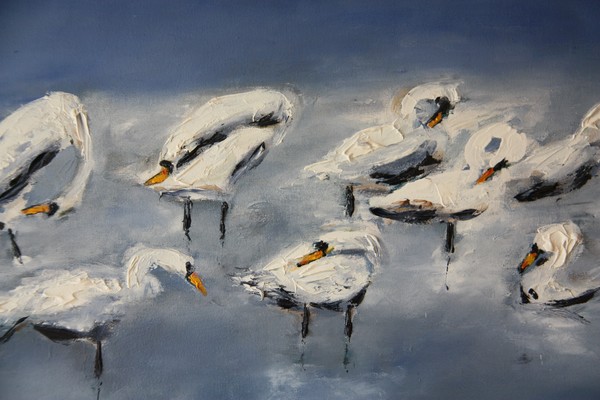 Swans (60x50)