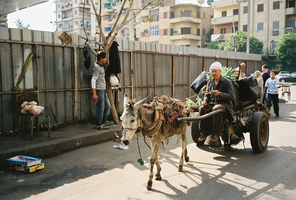 Donkey Cart Original