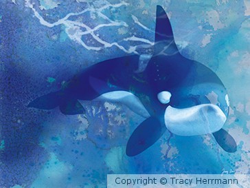 Orca