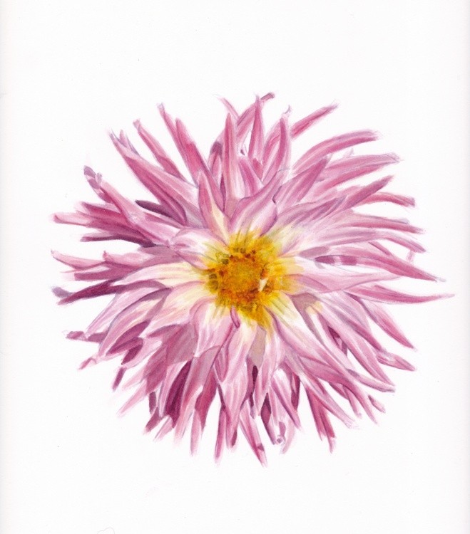 Watercolour pink flower