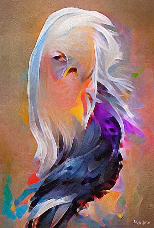 White haired Raven