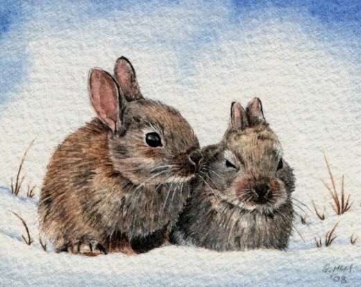 Snow rabbits