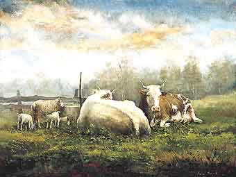 cows with sheep
