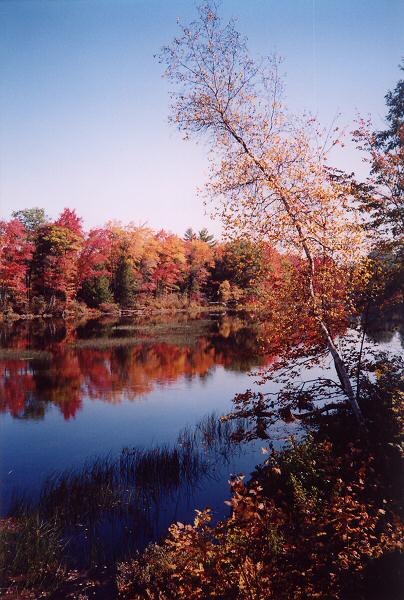 Autumn's Reach