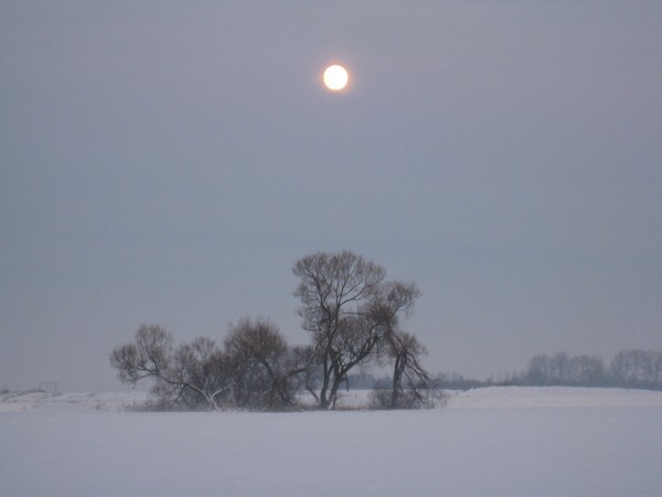 Midwinterfullmoon