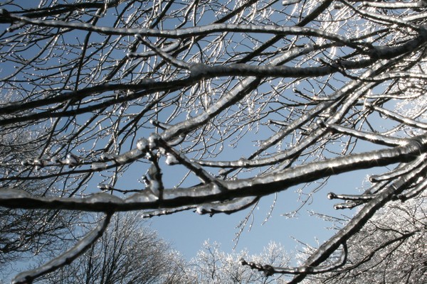 ice storm