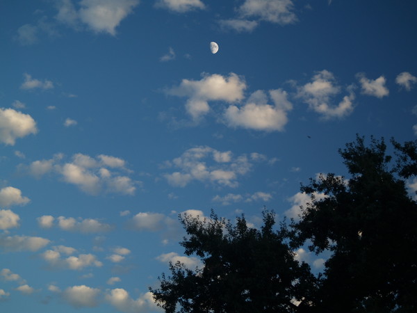 BLUE SKY AND MOON