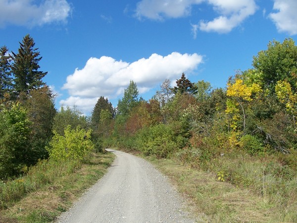 Maine Trail