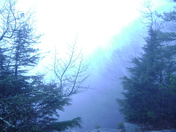 Foggy afternoon in South Carolina