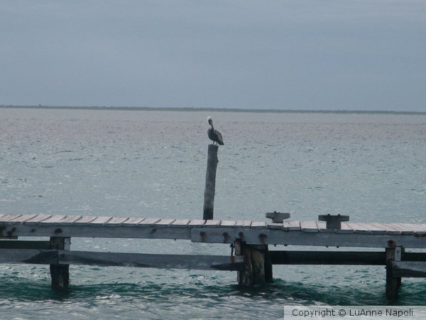 Isla Mujeres