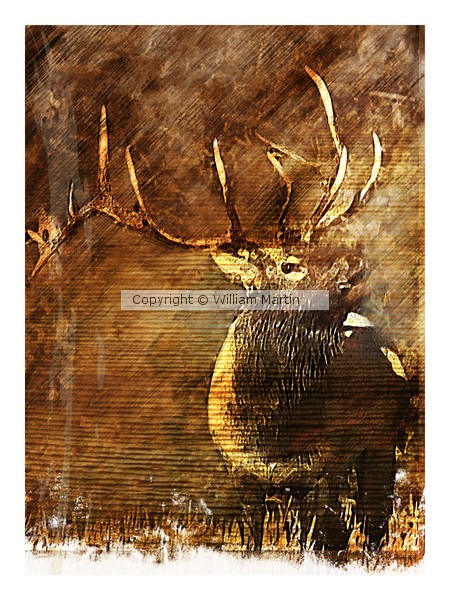 Rustic Elk Home Wall Decor