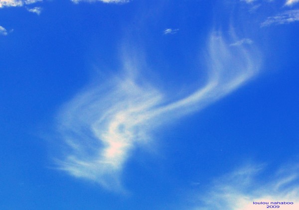 Feathers in the sky 2