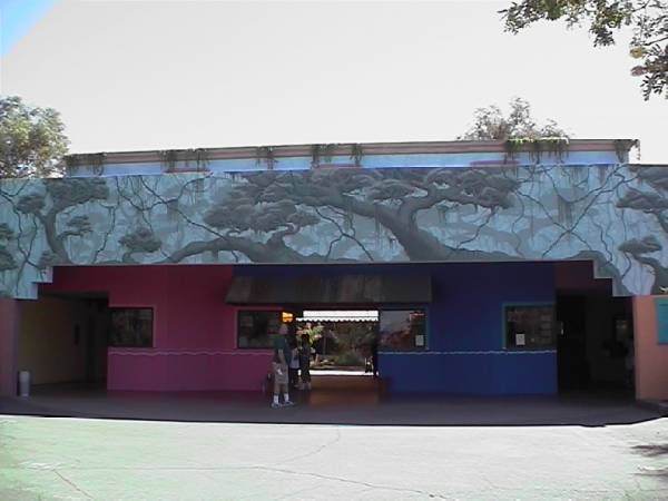 Phoenix Zoo Jungle Mural