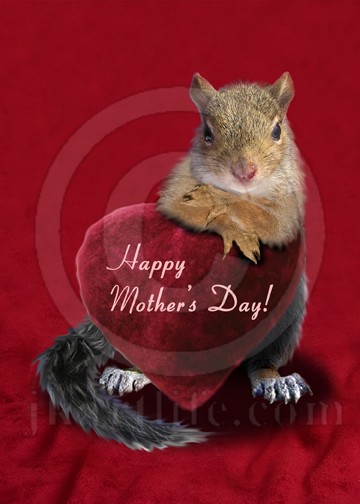 Mother's Day Squirrel 917729