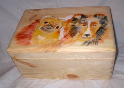 mops and sheltie on a wooden box