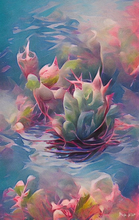 Swimming succulents 