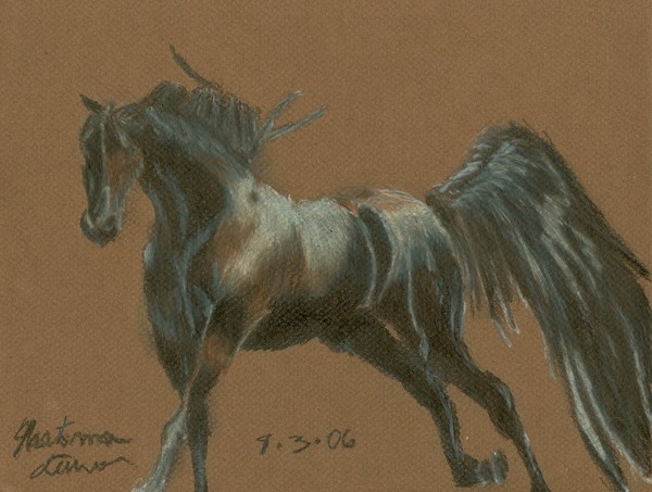 Toreador in colored pencil