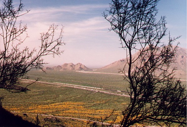 View from Hunters Trail, Picacho Peak