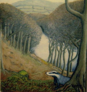 Strid woods and badger