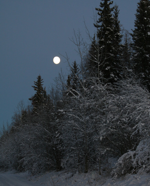 Arctic Moon Rising