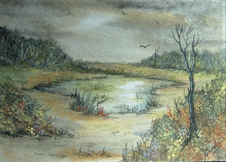 Country pond
