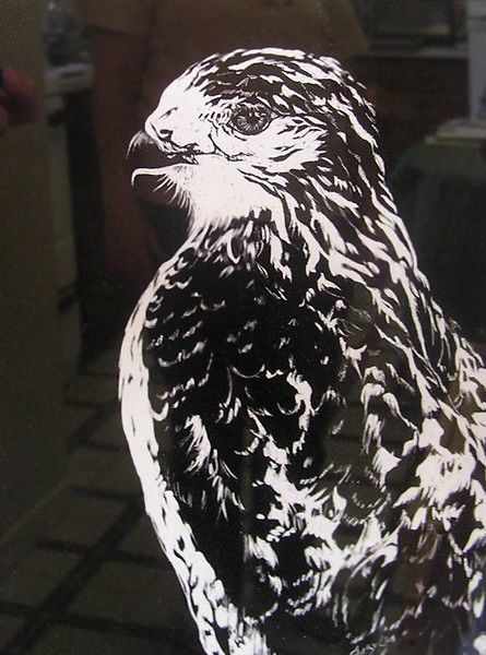 Falcon I