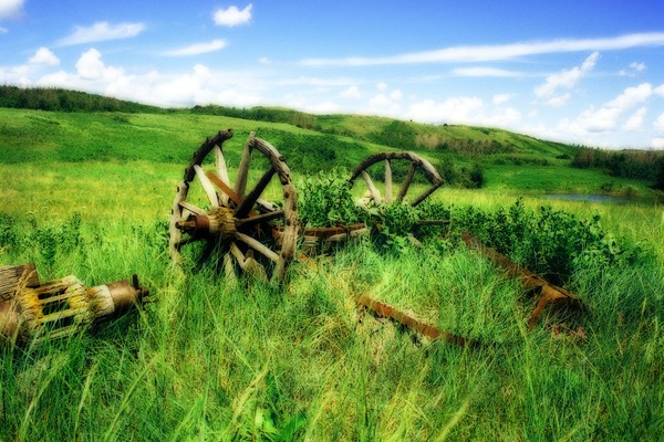 Prairie Dreams