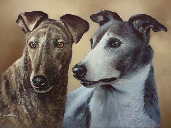 Greyhounds Portrait