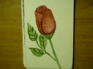 divination cards, the red rose