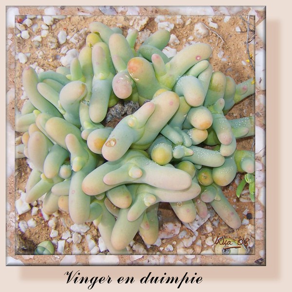 Vinger-en-duimpie (Finger and thumb)