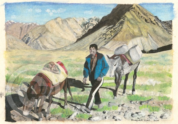 Boy and Horse in Himalayas