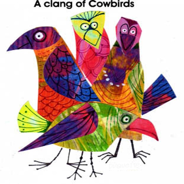 A CLANG OF COWBIRDS