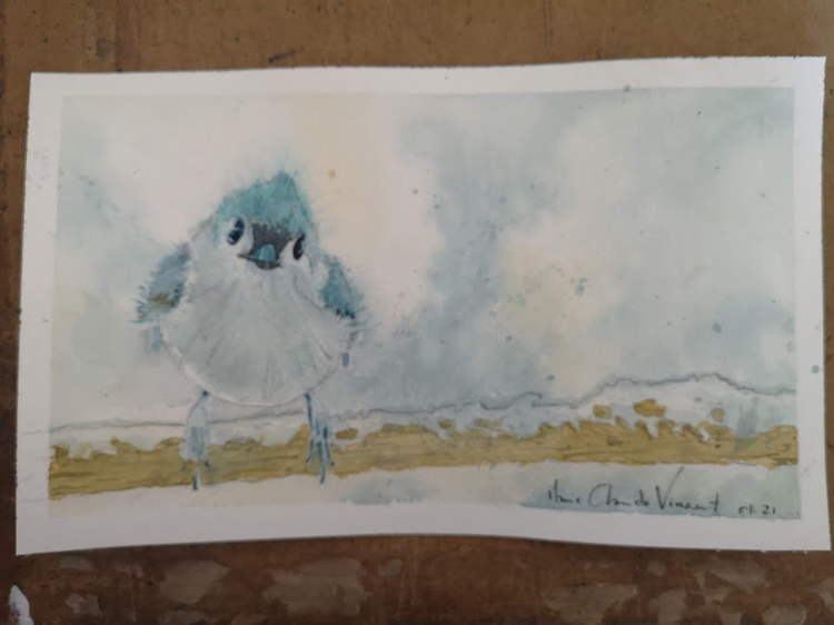 small blue bird in snow