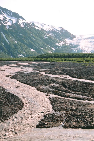 Exit Glacier