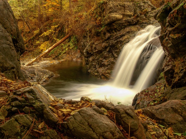 Shackleford Falls