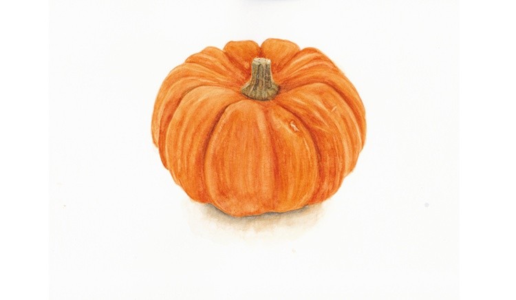 Watercolour Pumpkin