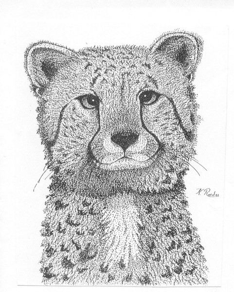The Cheeta