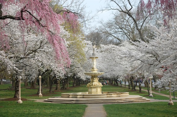 brandywine park, wilmington, de