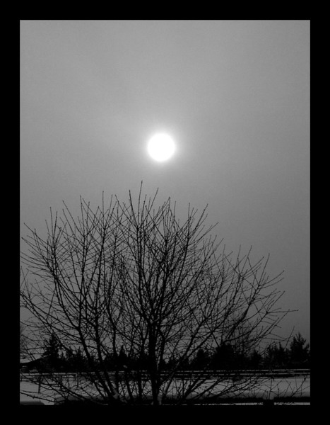 Overcast Sun