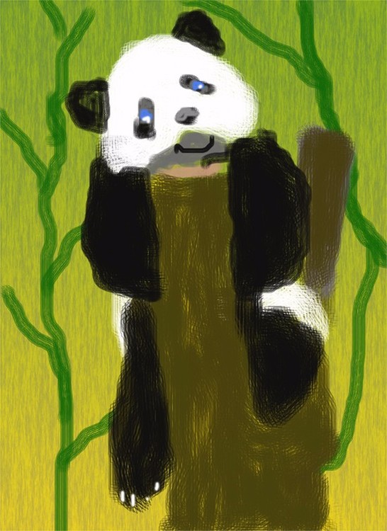 Baby Panda O674