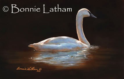 Ivory Splendor -Trumpeter Swan