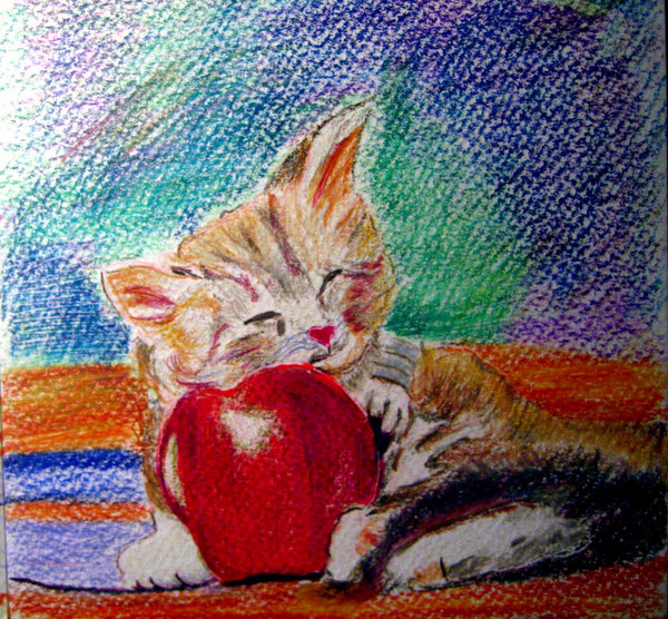 Cat and Apple