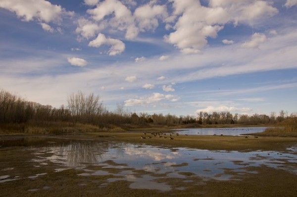 Pools Of Mirrors