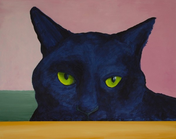 Black Cat - Yellow/Green Eyes