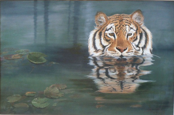 Tiger's Reflection