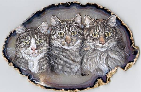 3 Cat Family Portrait
