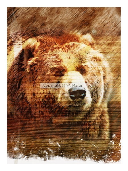 Rustic Grizzly Home Wall Decor