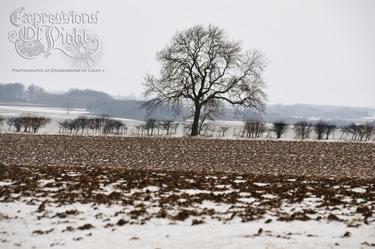 ExpoLight-The-Lincolnshire-Wolds-Winter-18-03-2018-0009 (SP)