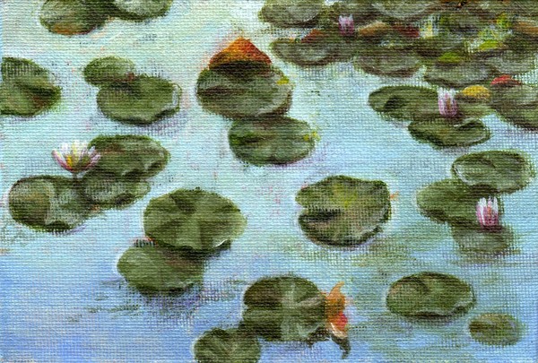 Early Morning Water Lilies