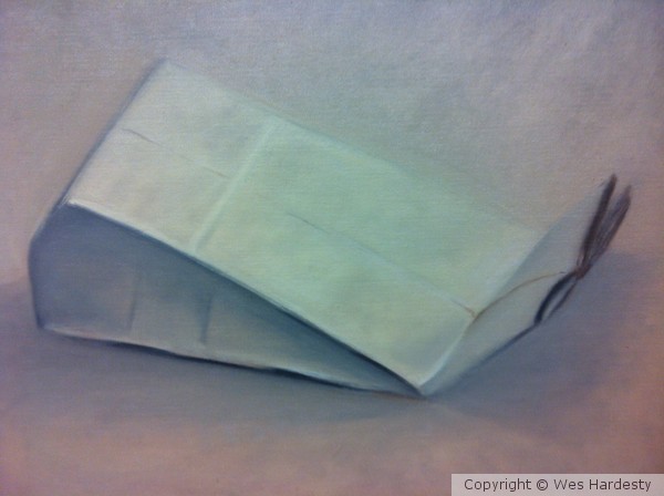 Paperbag (study)